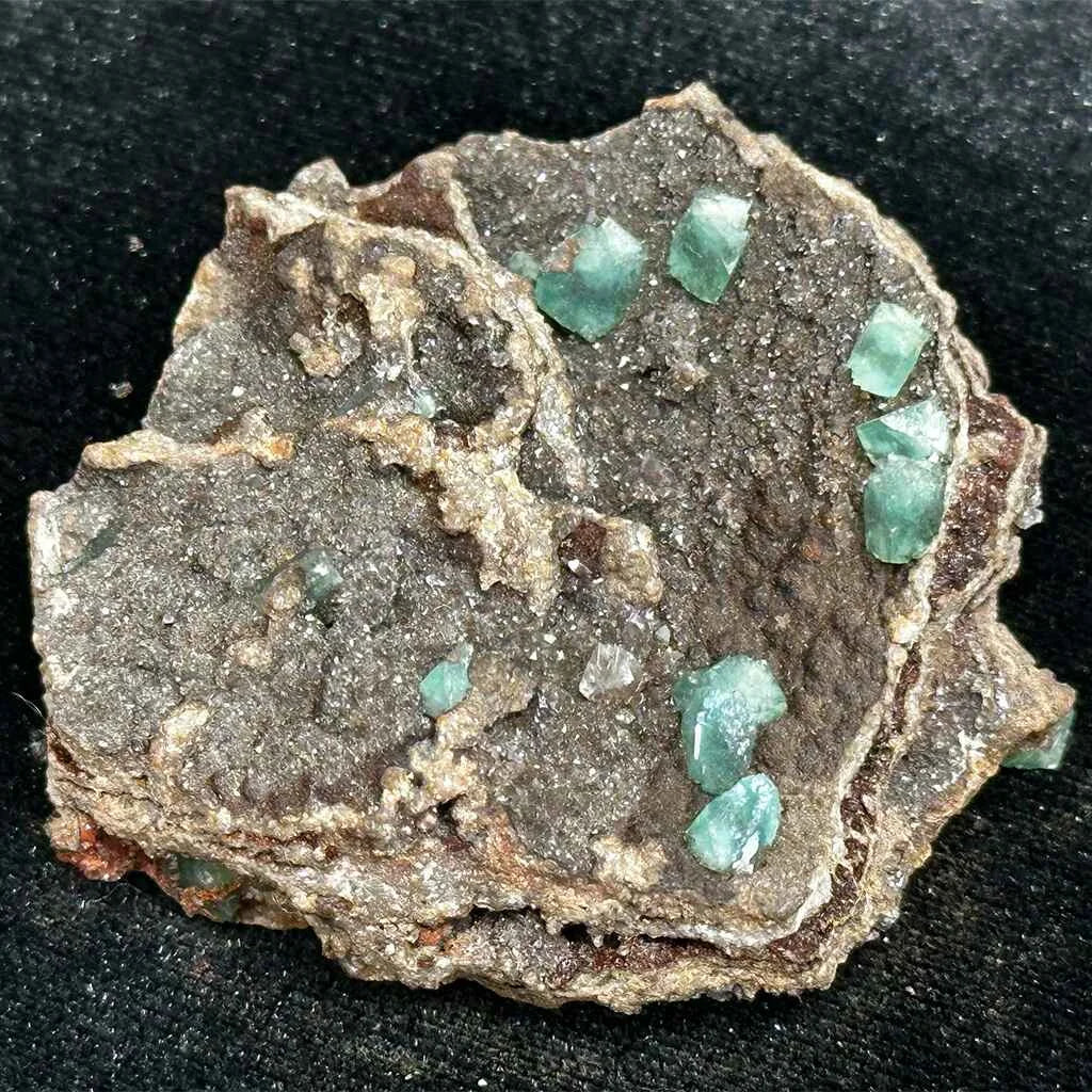 1.9" Cupro Adamite B