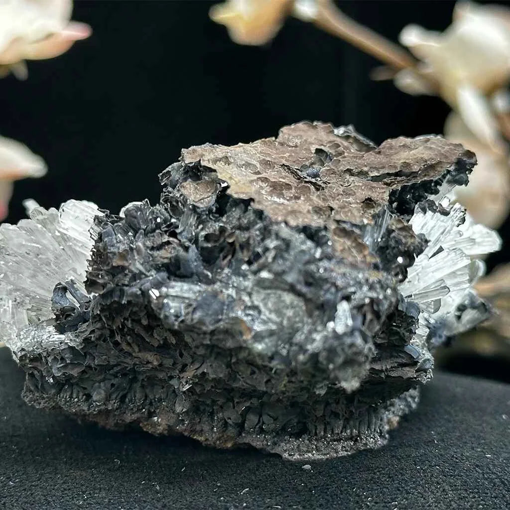 3.35" Hemimorphite C