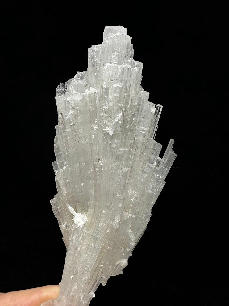 Scolecite