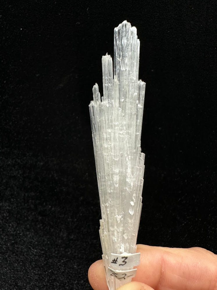Scolecite