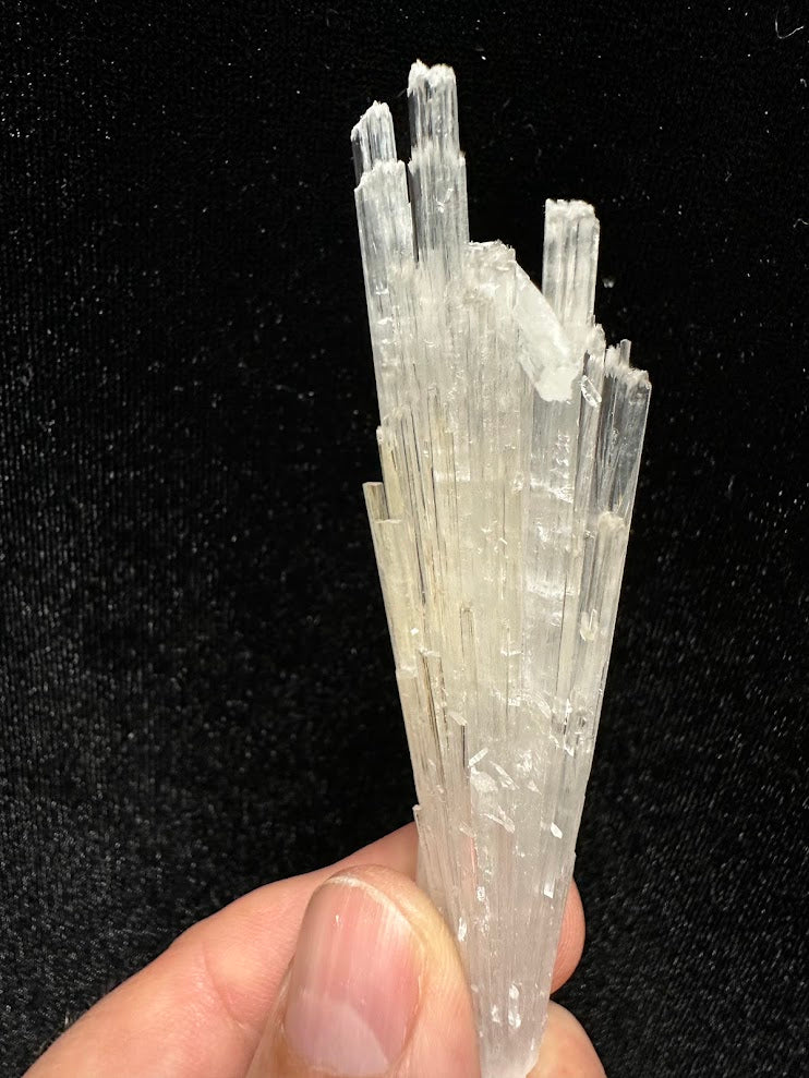 Scolecite