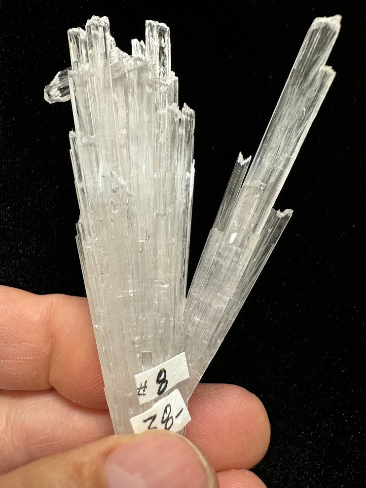 Scolecite