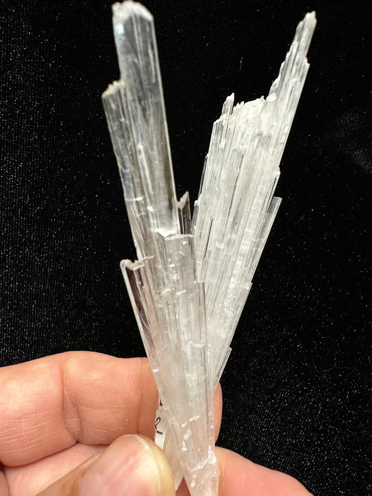 Scolecite