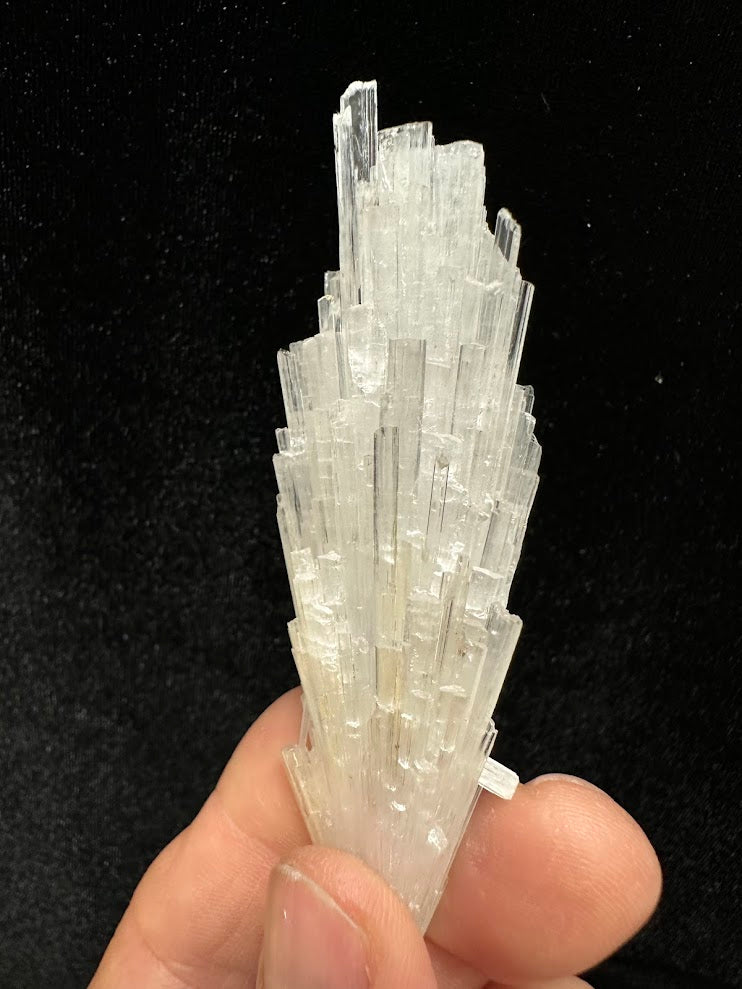Scolecite