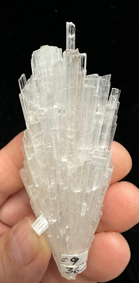 Scolecite