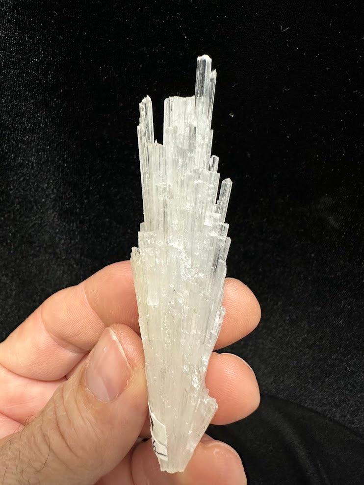 Scolecite