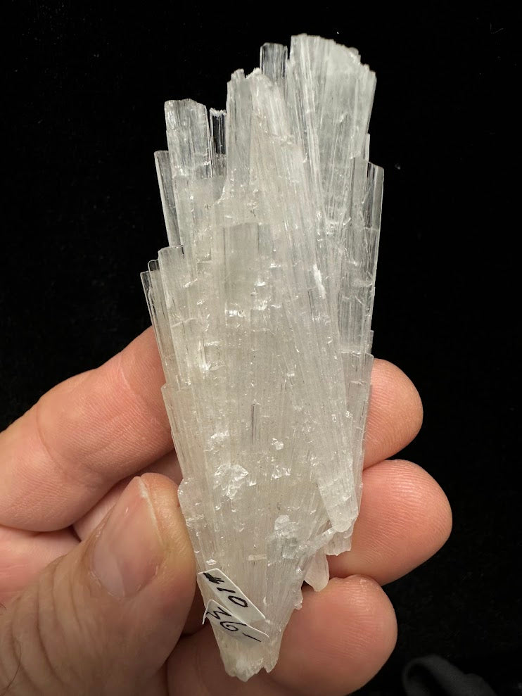 Scolecite