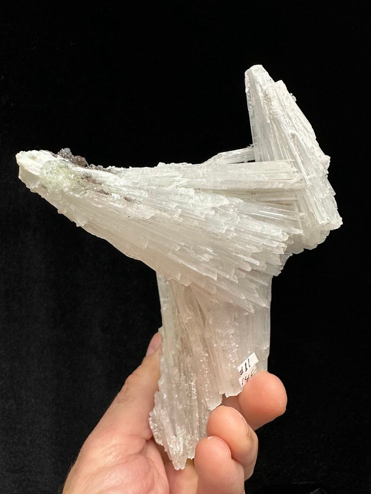 Scolecite