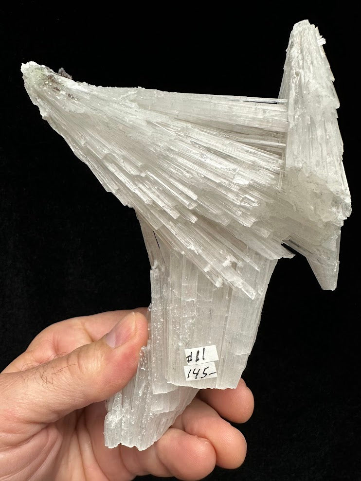 Scolecite