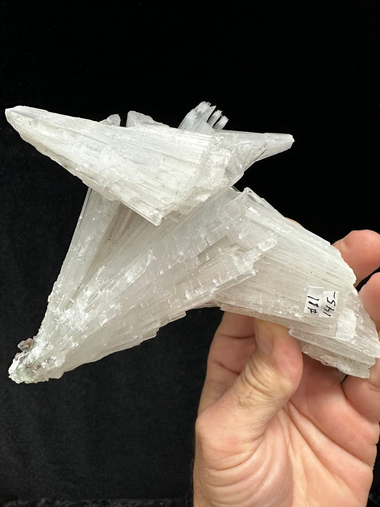 Scolecite