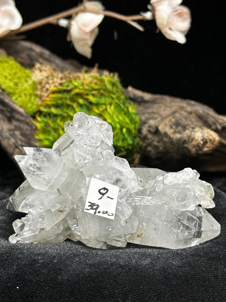 Diamond Apophyllite