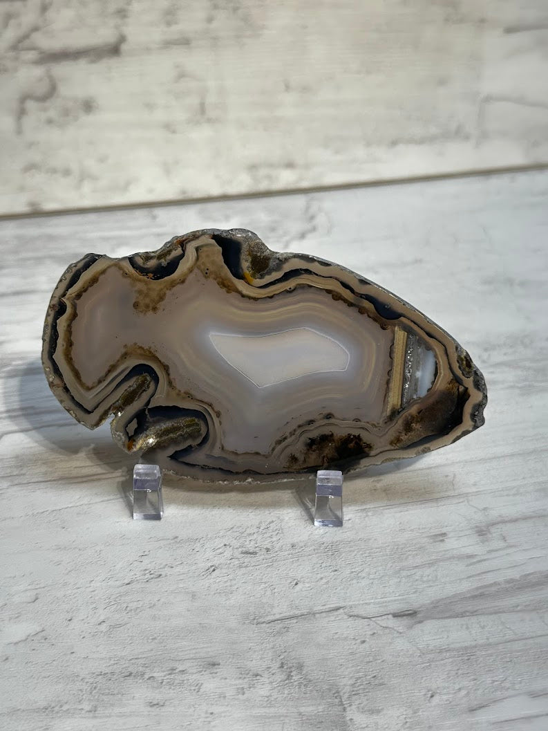 Sliced Agate from Brazil -H