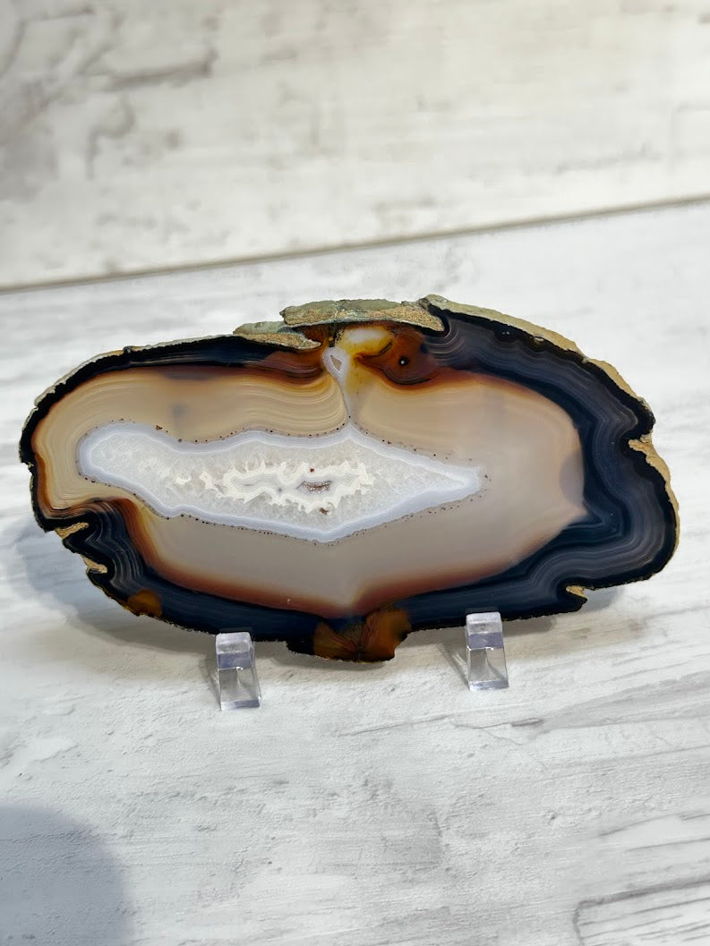 Sliced Agate from Brazil -E