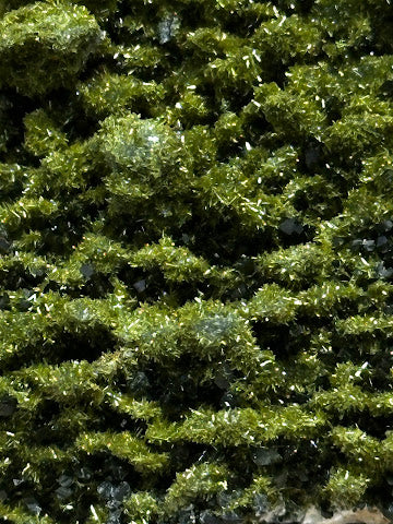 Green Forest Epidote A