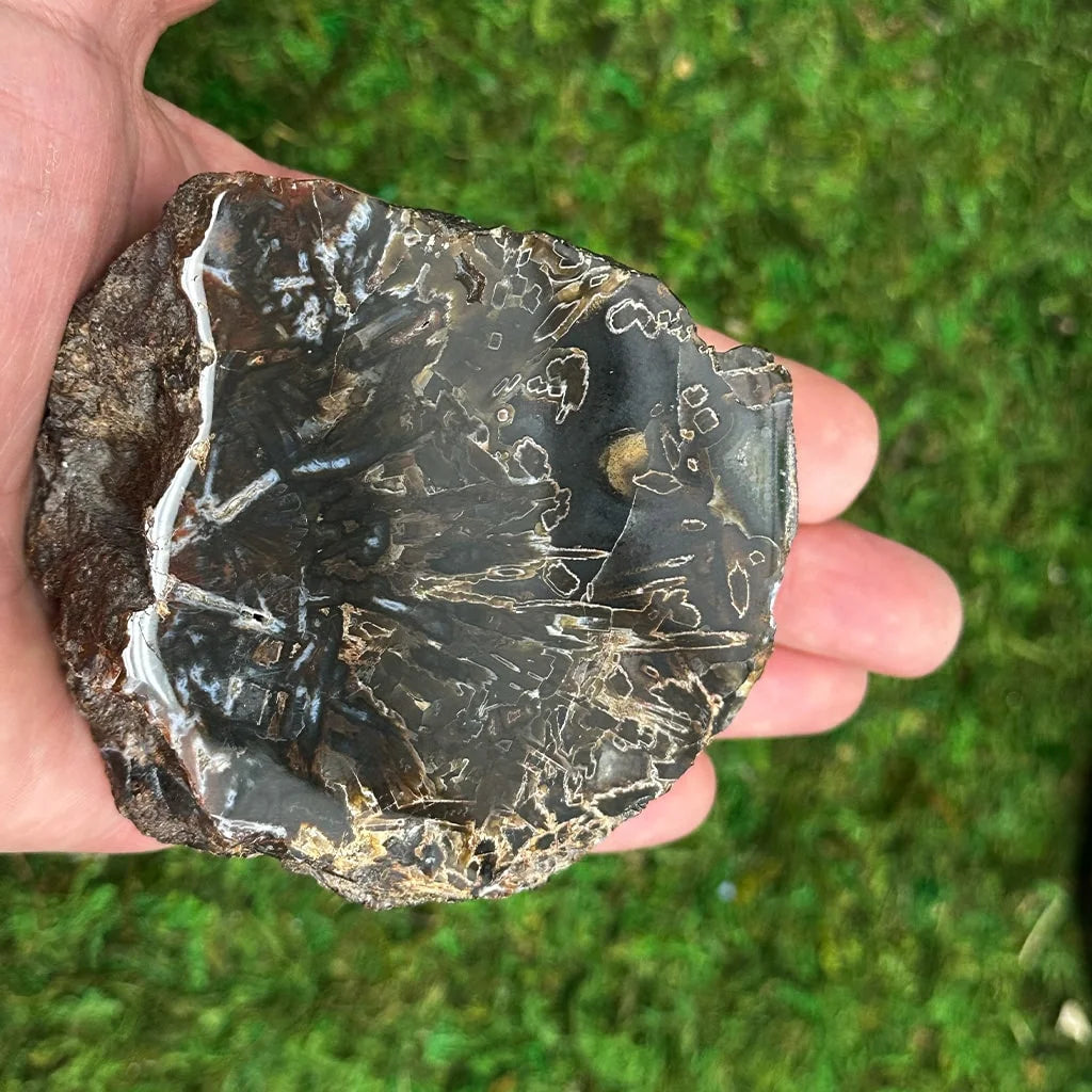 3" Turkish Agate F