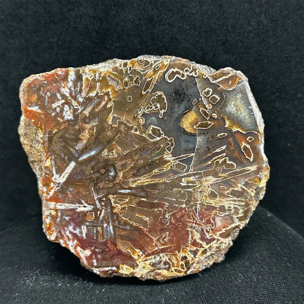 3" Turkish Agate F