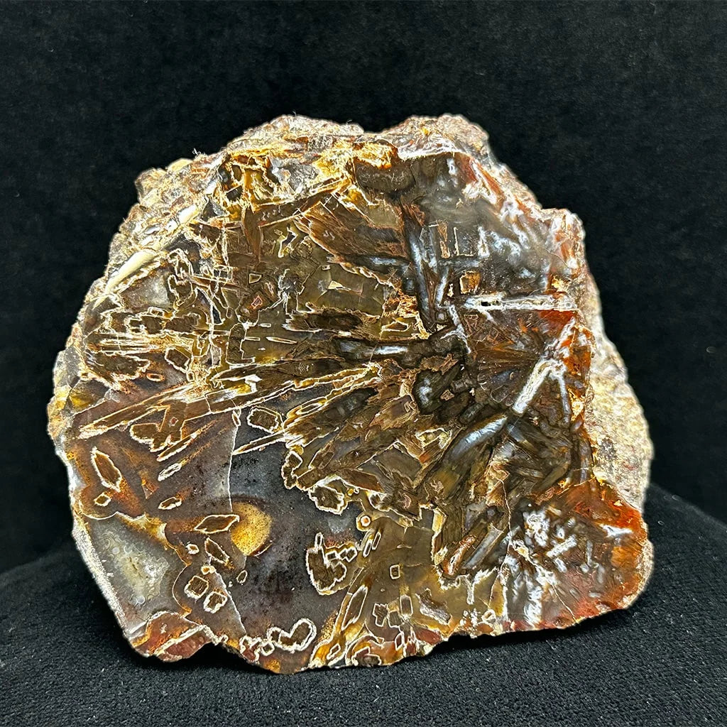3" Turkish Agate F