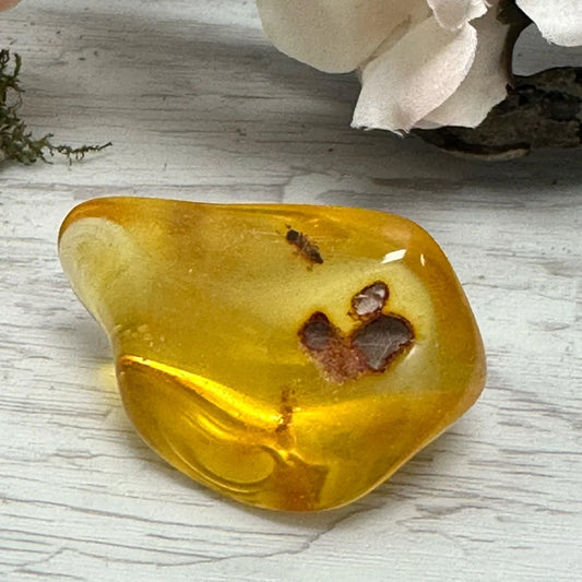 1.8" Amber C