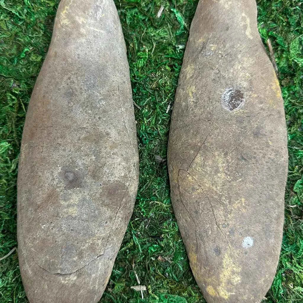 2.25" Illinois Fern Fossils C