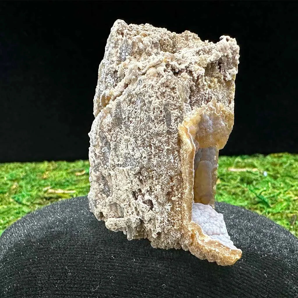 3.5" Agatized Fossilized Coral B