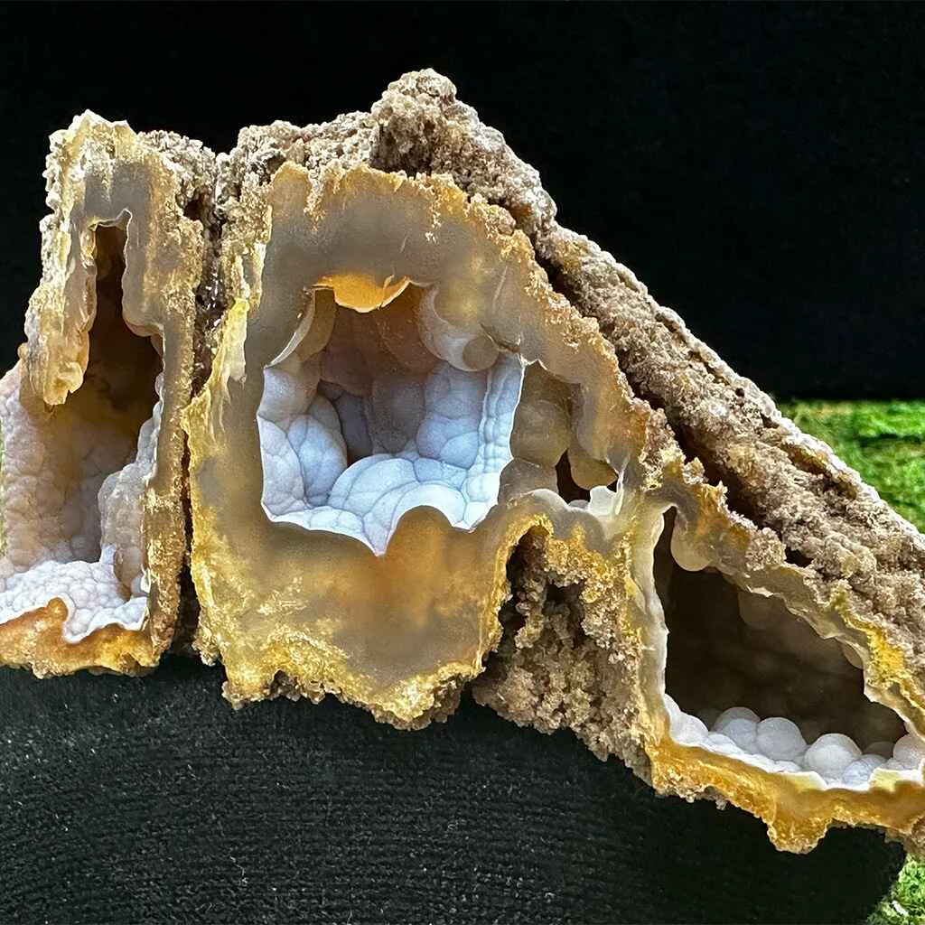3.5" Agatized Fossilized Coral B