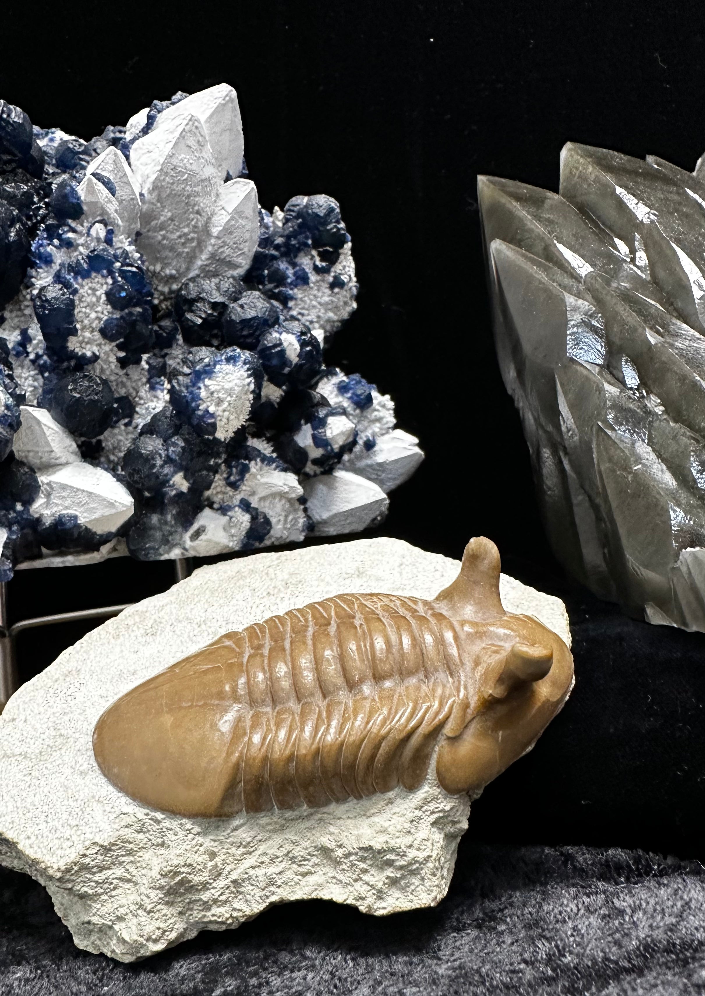 Statement Pieces – Prospectors Crystals, Rocks & Gift Shop