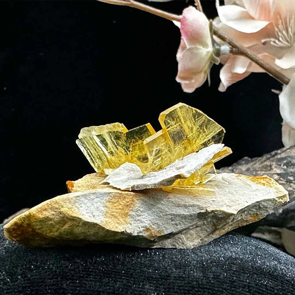 2.5" Glass Windowpane Yellow Barite C