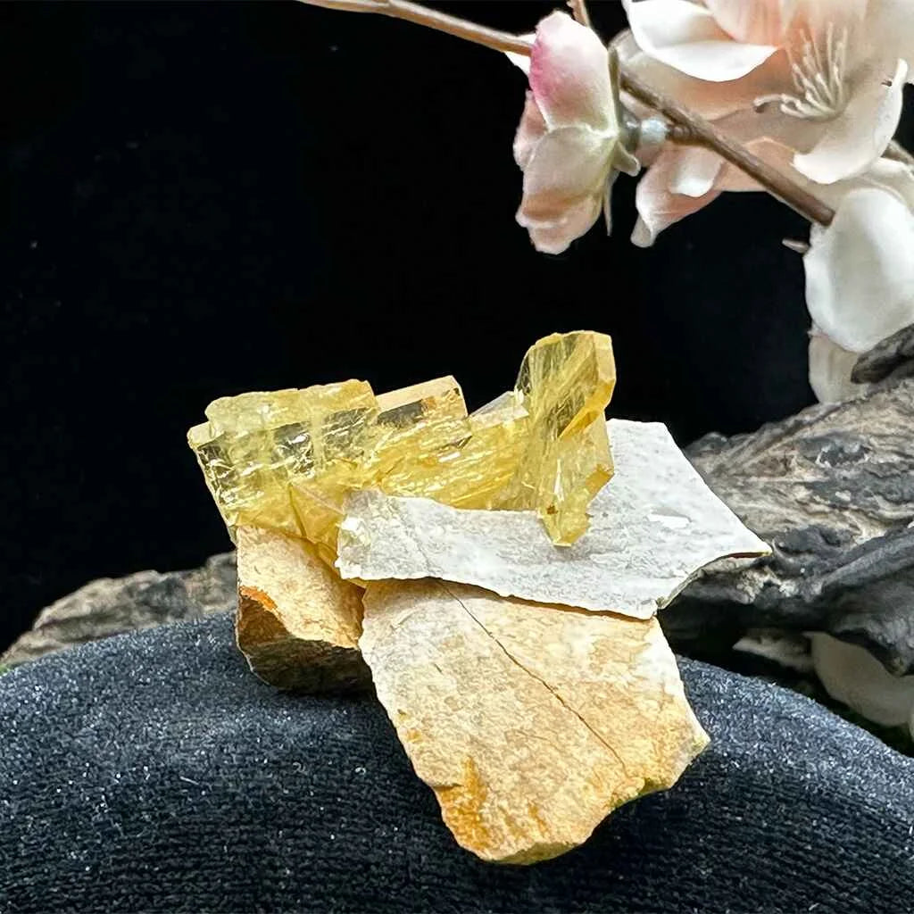 2.5" Glass Windowpane Yellow Barite C