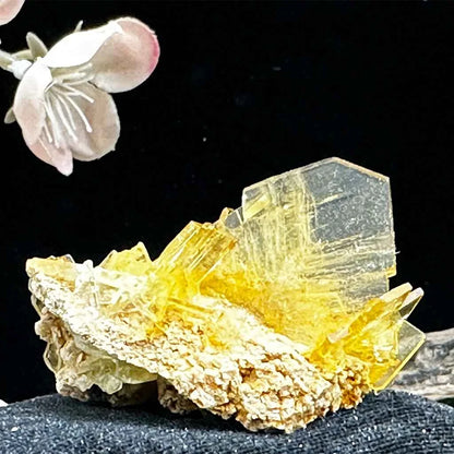 1.5" Glass Windowpane Yellow Barite D