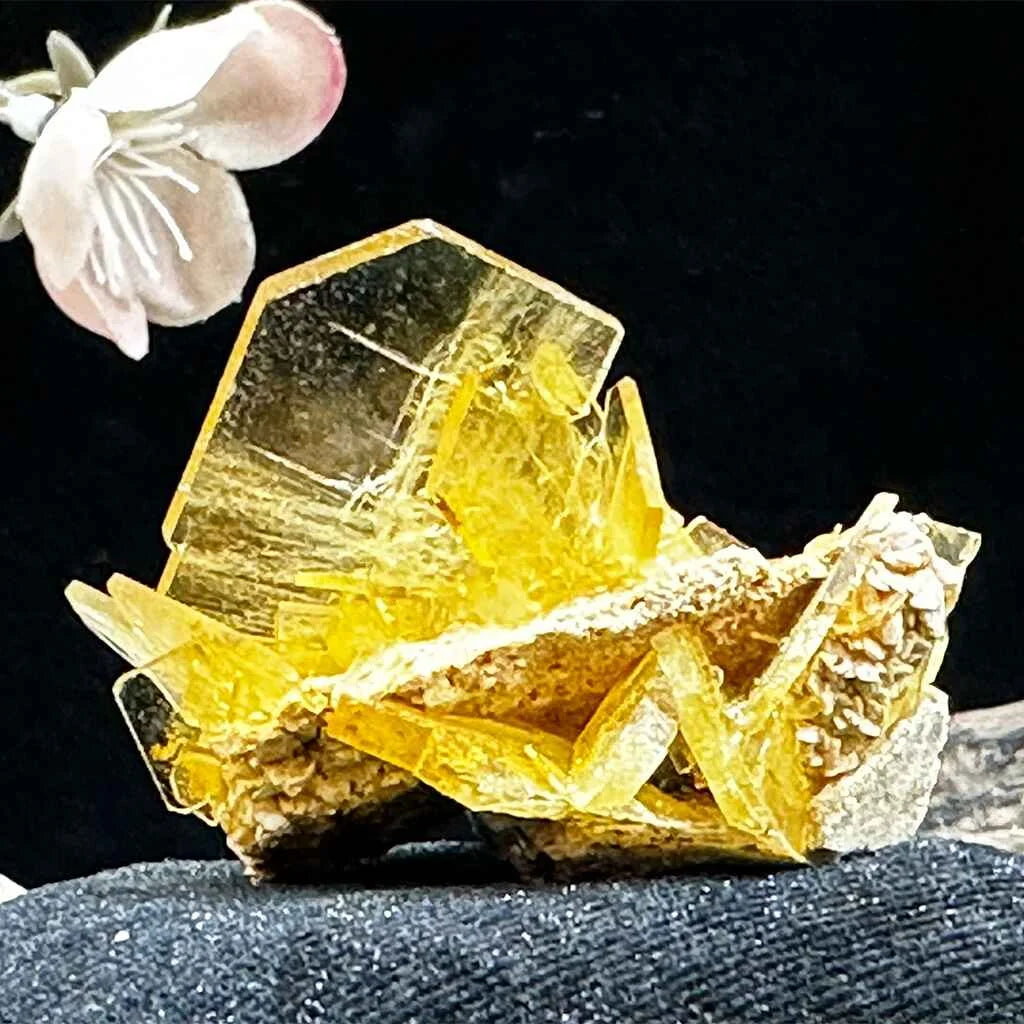 1.5" Glass Windowpane Yellow Barite D