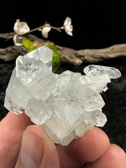 Diamond Apophyllite