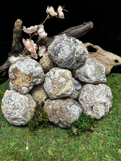 3" Trancas Chihuahua Fluorescent Geode from Mexico