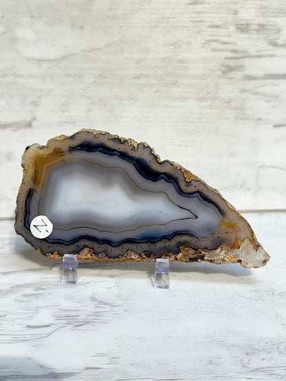 Sliced Agate from Brazil -Z