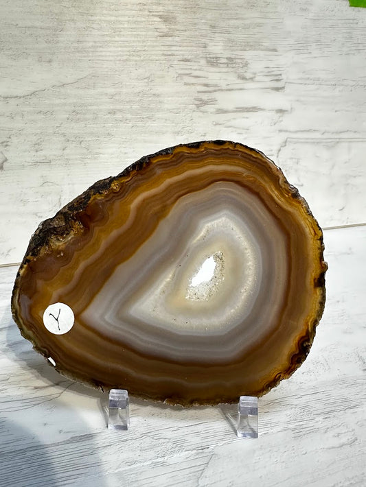 Sliced Agate from Brazil -Y