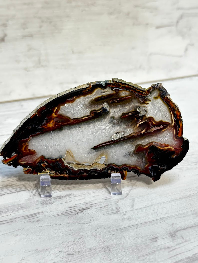 Sliced Agate from Brazil -T