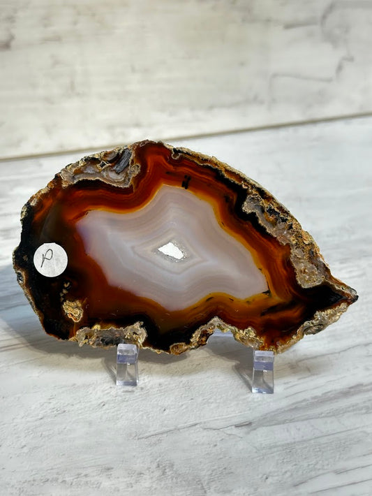 Sliced Agate from Brazil -P