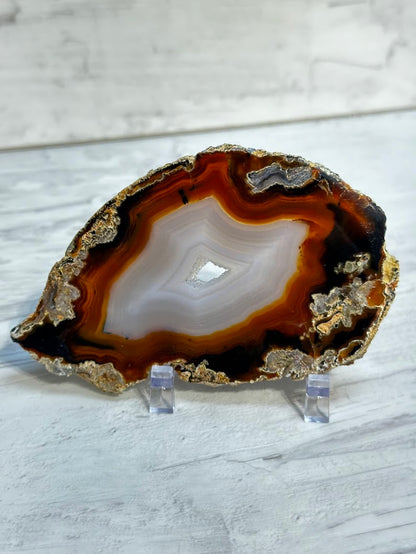 Sliced Agate from Brazil -P