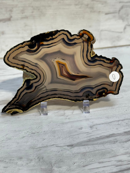 Sliced Agate from Brazil -O