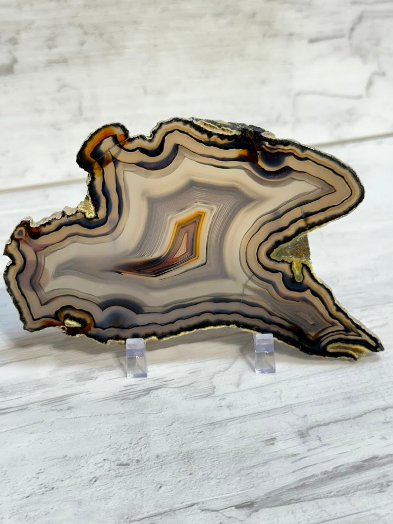 Sliced Agate from Brazil -O