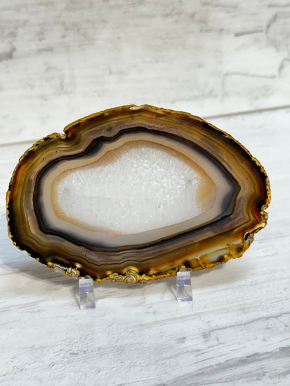 Sliced Agate from Brazil -L