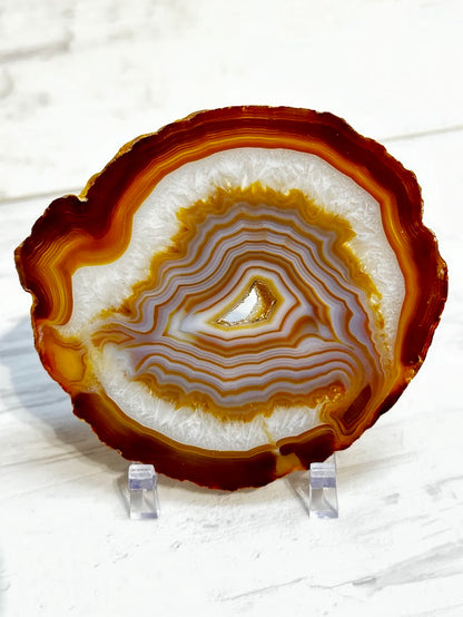 Sliced Agate from Brazil -G