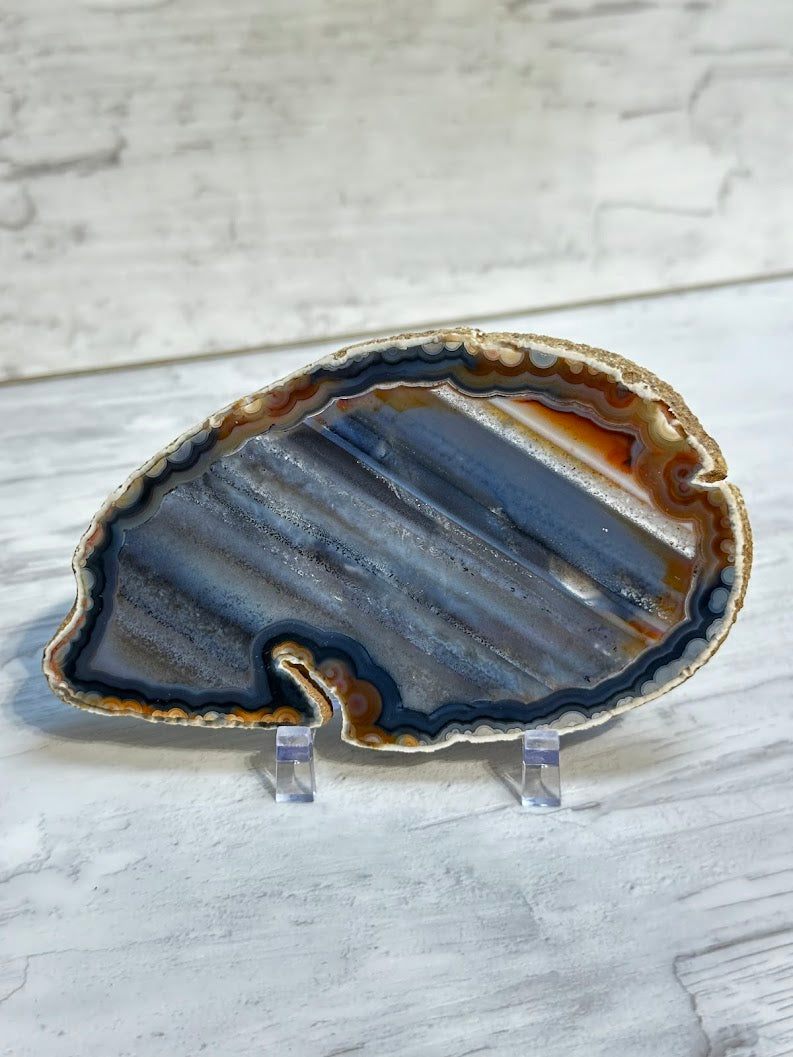 Sliced Agate from Brazil -F