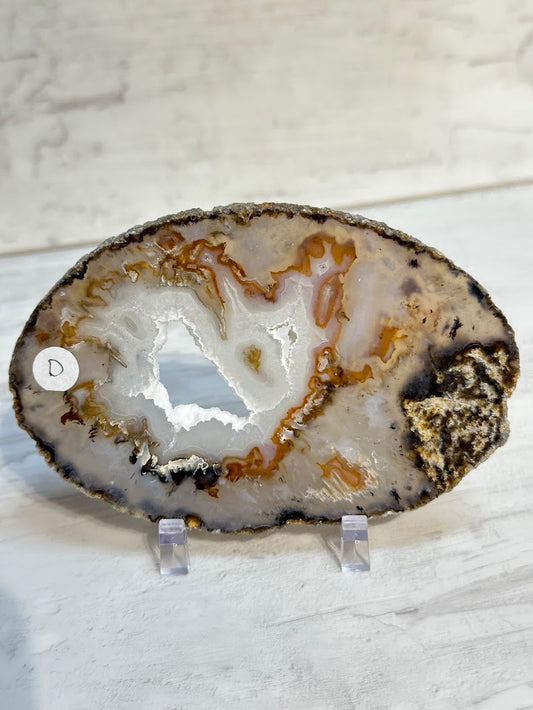 Sliced Agate from Brazil -D