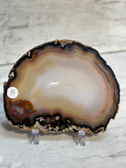 Sliced Agate from Brazil -B