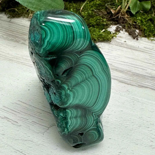 2.5" Malachite Polished L