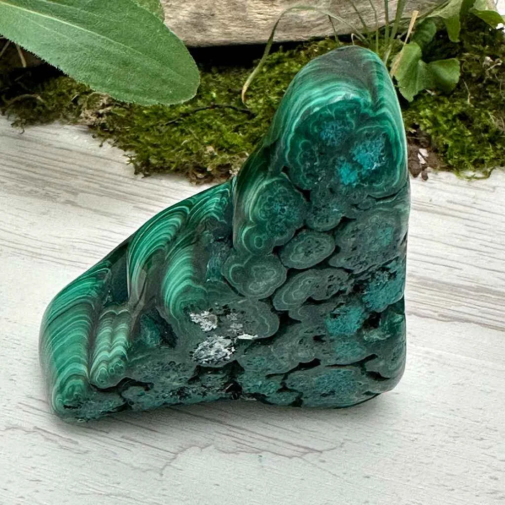 2.5" Malachite Polished L