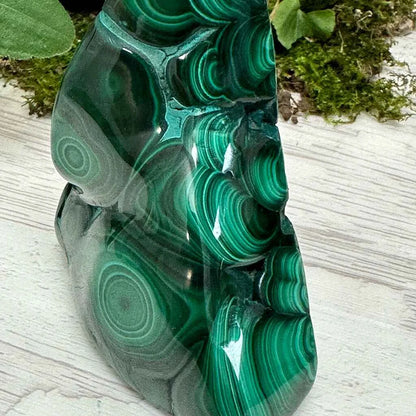 2.5" Malachite Polished L