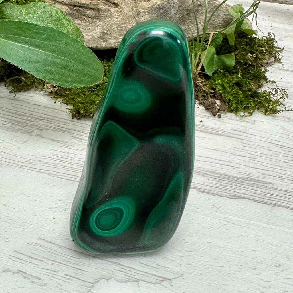 2.5" Malachite Polished M