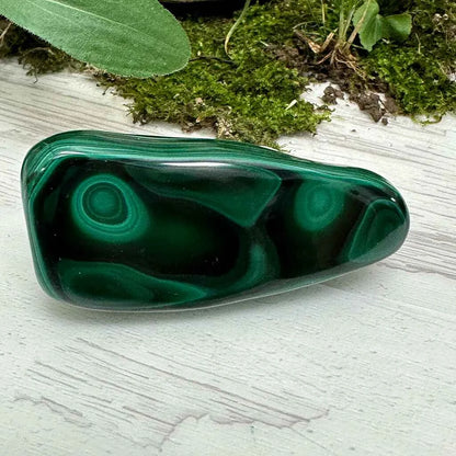 2.5" Malachite Polished M