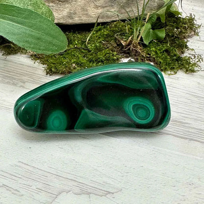 2.5" Malachite Polished M